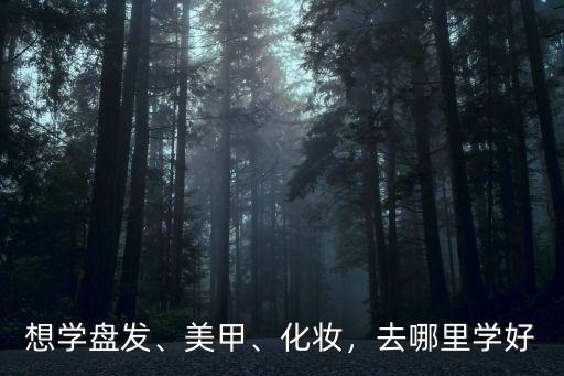 想學盤發(fā)、美甲、化妝，去哪里學好
