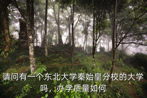 東北大學秦皇島分校中外合作辦學多少錢,東北大學秦皇島分校