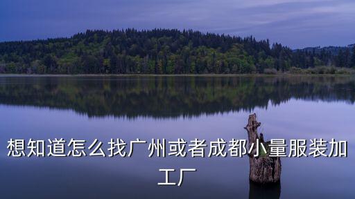 成都附近服裝外加工項(xiàng)目哪里找,想找服裝加工的單子在哪里找