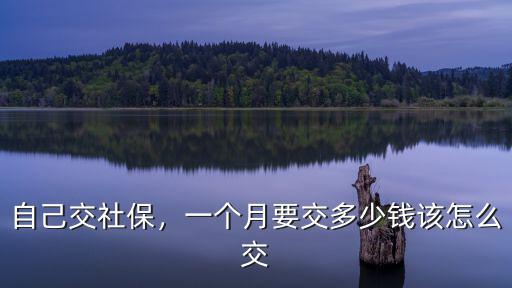 自己交社保，一個月要交多少錢該怎么交