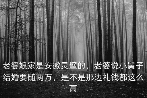 老婆娘家是安徽靈璧的，老婆說小舅子結婚要隨兩萬，是不是那邊禮錢都這么高