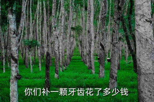宣城補(bǔ)個(gè)牙要多少錢,你們補(bǔ)一顆牙齒花了多少錢