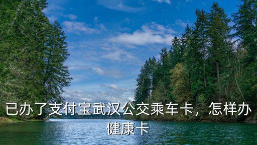 武漢健康之路平臺(tái)怎么樣,武漢有加入同城貨運(yùn)平臺(tái)的嗎