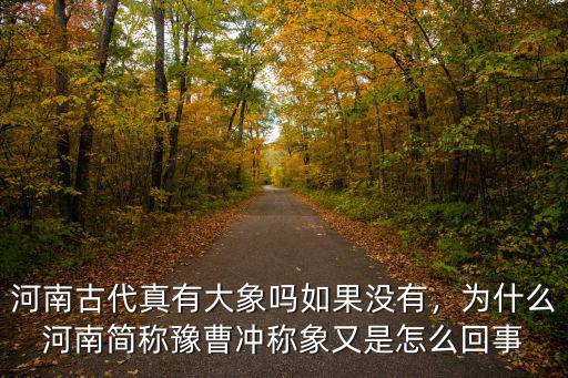 河南在古代怎么稱呼,河南古代真有大象嗎