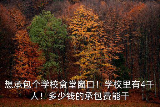 合肥學校食堂一個窗口多少錢,想承包個學校食堂窗口