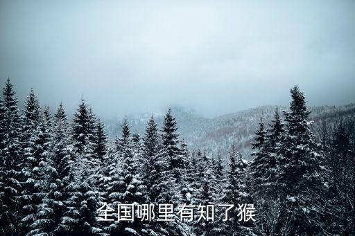 全國哪里有知了猴