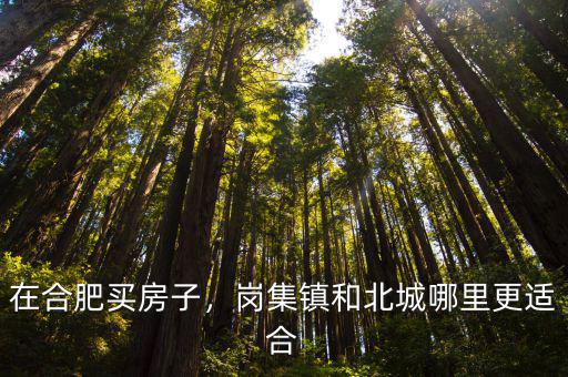 合肥崗集鎮(zhèn)房子多少錢,合肥市崗集鎮(zhèn)怎么樣