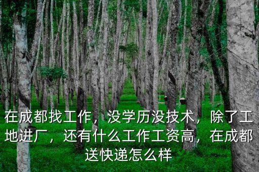 成都找工作進廠去哪里,在成都找工作