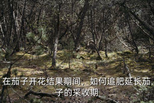 茄子每棵是多少復合肥,在茄子開花結果期間