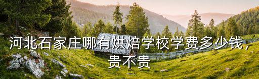 河北西點培訓班學費多少一年,學西點學費多少