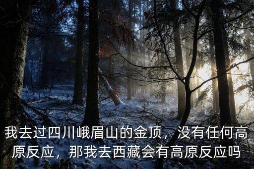 四川哪里會(huì)有高原反應(yīng),那我去西藏會(huì)有高原反應(yīng)嗎