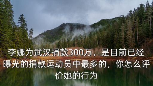 武漢怎么捐錢的,你怎么評價她的行為