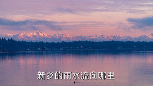 新鄉向哪里泄洪,新鄉的雨水流向哪里
