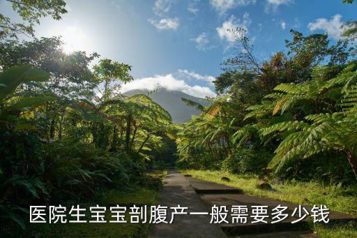 河北河間醫院剖腹產多少錢,分別要花多少錢