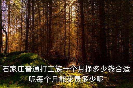 石家莊普通打工族一個月掙多少錢合適呢每個月能花費多少呢