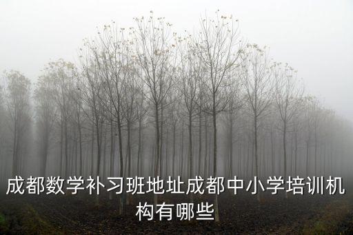 成都哪里有奧數(shù)培訓機構(gòu),成都比較好的培訓機構(gòu)有哪些