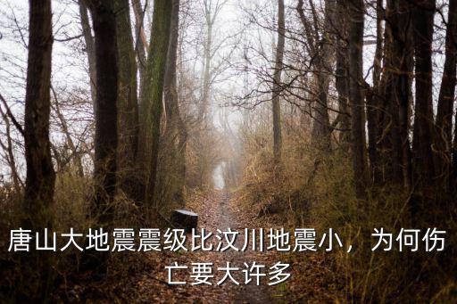 唐山汶川大地震死傷多少人,唐山大地震震級比汶川地震小
