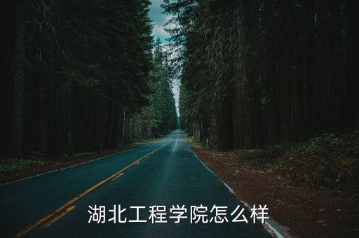 湖北許道友怎么樣,湖北大學怎么樣