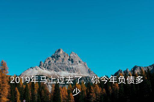 安徽省舒城縣2019年負債多少,2019年你負債了多少
