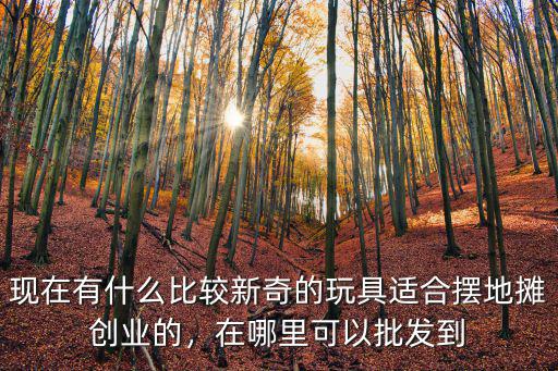 在宜賓長寧縣哪里批發玩具,中國最全的玩具批發在哪里