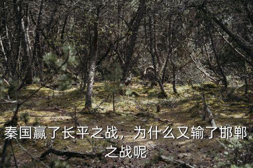 秦國贏了長平之戰(zhàn)，為什么又輸了邯鄲之戰(zhàn)呢