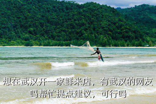想在武漢開一家鮮米店，有武漢的網友嗎幫忙提點建議，可行嗎