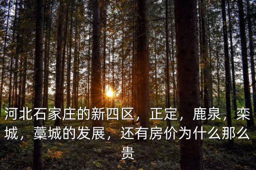 河北石家莊藁城烏雞一只多少錢,石家莊藁城彩禮一般多少錢
