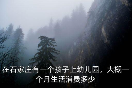 在石家莊有一個孩子上幼兒園，大概一個月生活消費多少