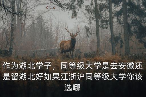 作為湖北學(xué)子，同等級(jí)大學(xué)是去安徽還是留湖北好如果江浙滬同等級(jí)大學(xué)你該選哪