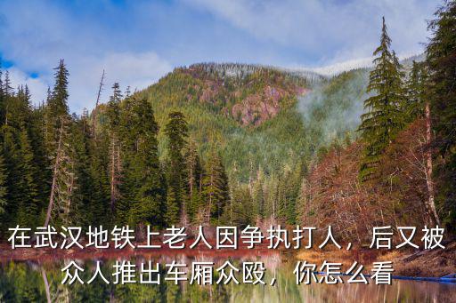 武漢大媽地鐵打人怎么處理,武漢大媽在地鐵車廂內剝蒜