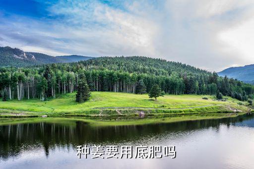 大姜底肥用復合肥多少,大姜底肥用400斤化肥6