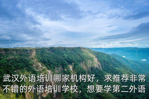 武漢外語培訓(xùn)哪家機構(gòu)好，求推薦非常不錯的外語培訓(xùn)學(xué)校，想要學(xué)第二外語