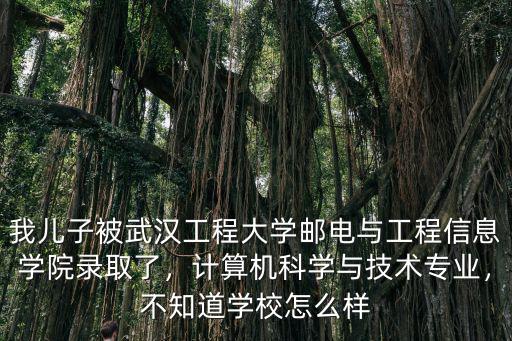 武漢工程圖書館怎么樣,武漢工程大學怎么樣