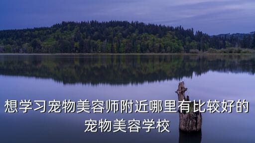 內(nèi)江哪里學(xué)寵物美容好,寵物美容師工資怎么樣