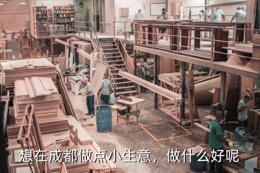 想在成都做點小生意，做什么好呢