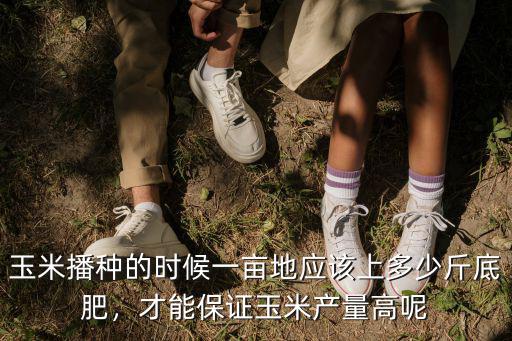 玉米底肥上多少?gòu)?fù)合肥,幾天能種玉米