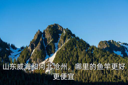 請問現(xiàn)在滄州獻(xiàn)縣的油價是多少,現(xiàn)在高粱的價格是多少
