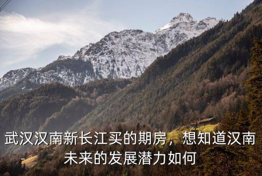 武漢漢南紗帽的房子怎么樣,武漢漢南新長江買的期房
