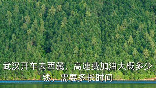 張家口開(kāi)車(chē)到武漢費(fèi)用多少錢(qián),武漢開(kāi)車(chē)去西藏