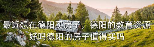 德陽天立在哪里,德陽未來的城市中心在哪里