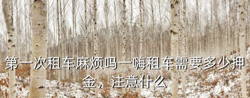 六安市租車要多少押金,租車要多少押金呢