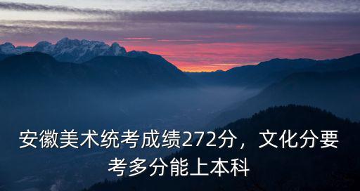 安徽美術(shù)統(tǒng)考成績272分，文化分要考多分能上本科