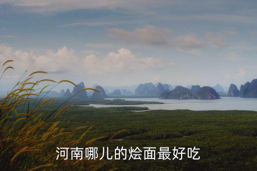 河南味蕾哪里好吃,河南哪兒的燴面最好吃