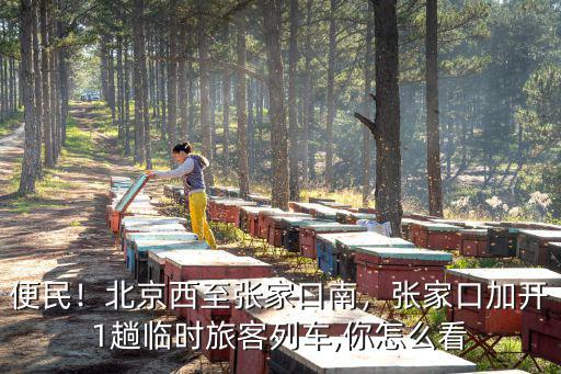 北京西至張家口6號(hào)火車票多少錢一張,北京西至張家口南