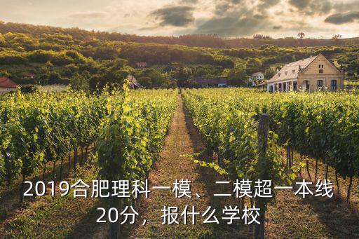 2019合肥理科一模、二模超一本線20分，報(bào)什么學(xué)校