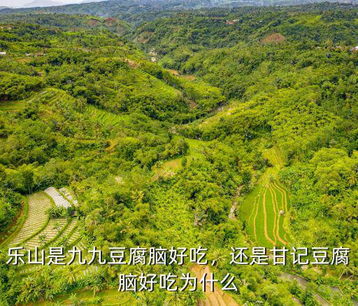 樂山豆腐腦最好在哪里,樂山是九九豆腐腦好吃
