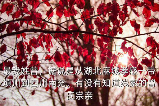 姓龍的祖先是從哪里來四川的,有沒有知道線索的曾氏宗親