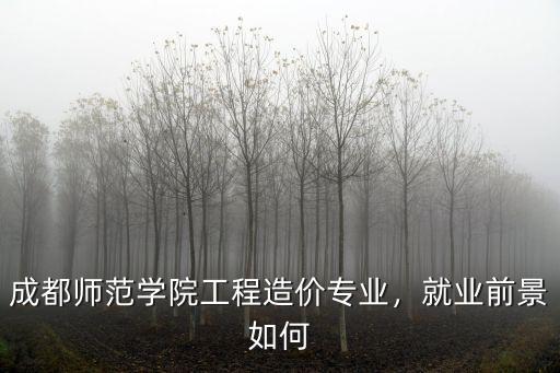 成都哪里有專業造價,成都師范學院工程造價專業