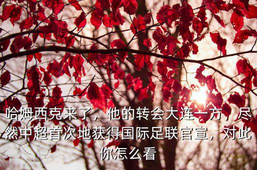哈姆西克來了，他的轉會大連一方，盡然中超首次地獲得國際足聯官宣，對此你怎么看