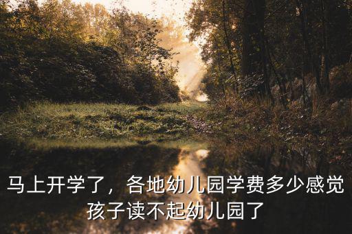 宣城幼兒園報名費多少,各地幼兒園學費多少